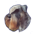 netanp��2