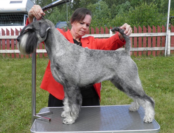image012.jpg