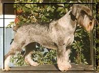 image010