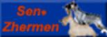 revenstam_index_900_ram pr.jpg