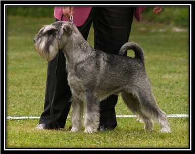 image020
