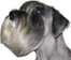 image020