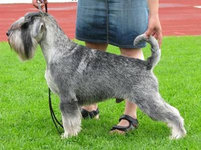 IMG_2476_small.jpg