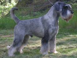 image005.jpg