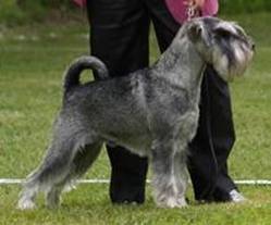 image031 lah.jpg