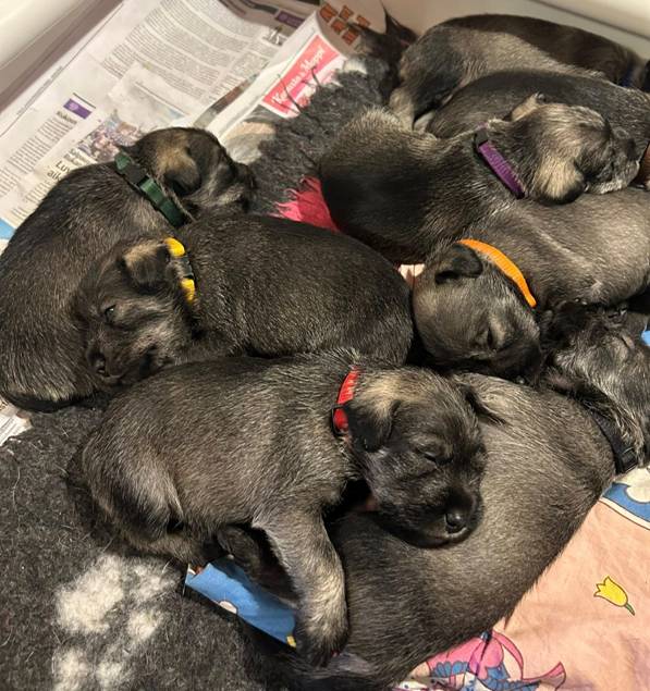 644826202_34160215126956253_2484387739403255200_n (1).jpg