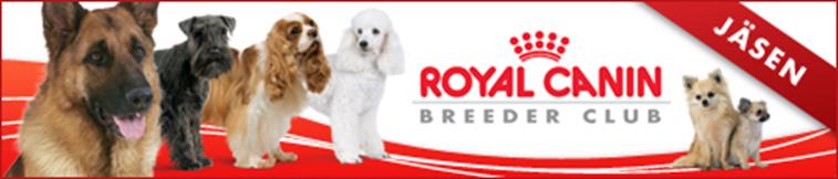 rc_banneri_koira_468x100.jpg