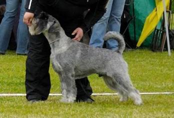 image175.jpg