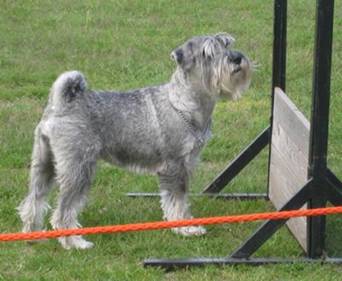 image123.jpg