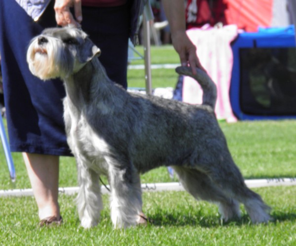 image008.jpg