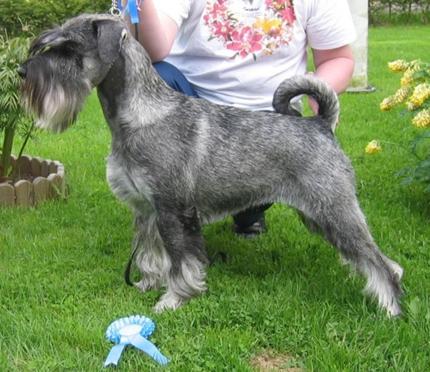 image056