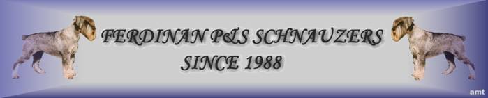 20022005 ones kiss_amt